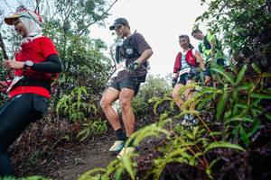 BIB: 
                            <button type="button" onclick="openModal(26414235)" class="btn btn-primary btn-sm float-right btn-popup" data-toggle="modal" data-target=".modal-high-quality">
                        <i class="fas fa-shopping-cart"></i> Add to Cart
                    </button>
                                            <button type="button" onclick="isThisMe(26414235, true)" class="btn btn-success btn-sm float-right btn-popup btn-isme hidden" data-toggle="tooltip" data-placement="bottom" title="นี่คือรูปของคุณใช่ไหม คลิกที่นี่เพื่อเอาเข้าอัลบั้ม">
                        <i class="fas fa-plus"></i> Add to album
                    </button>
                    <button type="button" onclick="isThisMe(26414235, false)" class="btn btn-warning btn-sm float-right btn-popup btn-isnotme hidden">
                        <i class="fas fa-ban"></i> Remove from album
                    </button>