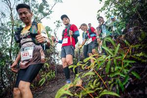 BIB: 
                            <button type="button" onclick="openModal(26415240)" class="btn btn-primary btn-sm float-right btn-popup" data-toggle="modal" data-target=".modal-high-quality">
                        <i class="fas fa-shopping-cart"></i> Add to Cart
                    </button>
                                            <button type="button" onclick="isThisMe(26415240, true)" class="btn btn-success btn-sm float-right btn-popup btn-isme hidden" data-toggle="tooltip" data-placement="bottom" title="นี่คือรูปของคุณใช่ไหม คลิกที่นี่เพื่อเอาเข้าอัลบั้ม">
                        <i class="fas fa-plus"></i> Add to album
                    </button>
                    <button type="button" onclick="isThisMe(26415240, false)" class="btn btn-warning btn-sm float-right btn-popup btn-isnotme hidden">
                        <i class="fas fa-ban"></i> Remove from album
                    </button>