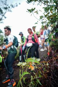 BIB: 
                            <button type="button" onclick="openModal(26415407)" class="btn btn-primary btn-sm float-right btn-popup" data-toggle="modal" data-target=".modal-high-quality">
                        <i class="fas fa-shopping-cart"></i> Add to Cart
                    </button>
                                            <button type="button" onclick="isThisMe(26415407, true)" class="btn btn-success btn-sm float-right btn-popup btn-isme hidden" data-toggle="tooltip" data-placement="bottom" title="นี่คือรูปของคุณใช่ไหม คลิกที่นี่เพื่อเอาเข้าอัลบั้ม">
                        <i class="fas fa-plus"></i> Add to album
                    </button>
                    <button type="button" onclick="isThisMe(26415407, false)" class="btn btn-warning btn-sm float-right btn-popup btn-isnotme hidden">
                        <i class="fas fa-ban"></i> Remove from album
                    </button>