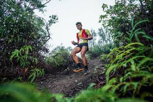 BIB: 
                            <button type="button" onclick="openModal(26306246)" class="btn btn-primary btn-sm float-right btn-popup" data-toggle="modal" data-target=".modal-high-quality">
                        <i class="fas fa-shopping-cart"></i> Add to Cart
                    </button>
                                            <button type="button" onclick="isThisMe(26306246, true)" class="btn btn-success btn-sm float-right btn-popup btn-isme hidden" data-toggle="tooltip" data-placement="bottom" title="นี่คือรูปของคุณใช่ไหม คลิกที่นี่เพื่อเอาเข้าอัลบั้ม">
                        <i class="fas fa-plus"></i> Add to album
                    </button>
                    <button type="button" onclick="isThisMe(26306246, false)" class="btn btn-warning btn-sm float-right btn-popup btn-isnotme hidden">
                        <i class="fas fa-ban"></i> Remove from album
                    </button>