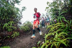 BIB: 
                            <button type="button" onclick="openModal(26397392)" class="btn btn-primary btn-sm float-right btn-popup" data-toggle="modal" data-target=".modal-high-quality">
                        <i class="fas fa-shopping-cart"></i> Add to Cart
                    </button>
                                            <button type="button" onclick="isThisMe(26397392, true)" class="btn btn-success btn-sm float-right btn-popup btn-isme hidden" data-toggle="tooltip" data-placement="bottom" title="นี่คือรูปของคุณใช่ไหม คลิกที่นี่เพื่อเอาเข้าอัลบั้ม">
                        <i class="fas fa-plus"></i> Add to album
                    </button>
                    <button type="button" onclick="isThisMe(26397392, false)" class="btn btn-warning btn-sm float-right btn-popup btn-isnotme hidden">
                        <i class="fas fa-ban"></i> Remove from album
                    </button>