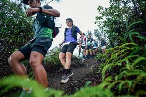 BIB: 
                            <button type="button" onclick="openModal(26336633)" class="btn btn-primary btn-sm float-right btn-popup" data-toggle="modal" data-target=".modal-high-quality">
                        <i class="fas fa-shopping-cart"></i> Add to Cart
                    </button>
                                            <button type="button" onclick="isThisMe(26336633, true)" class="btn btn-success btn-sm float-right btn-popup btn-isme hidden" data-toggle="tooltip" data-placement="bottom" title="นี่คือรูปของคุณใช่ไหม คลิกที่นี่เพื่อเอาเข้าอัลบั้ม">
                        <i class="fas fa-plus"></i> Add to album
                    </button>
                    <button type="button" onclick="isThisMe(26336633, false)" class="btn btn-warning btn-sm float-right btn-popup btn-isnotme hidden">
                        <i class="fas fa-ban"></i> Remove from album
                    </button>