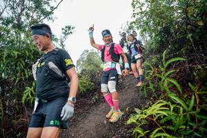 BIB: 
                            <button type="button" onclick="openModal(26377055)" class="btn btn-primary btn-sm float-right btn-popup" data-toggle="modal" data-target=".modal-high-quality">
                        <i class="fas fa-shopping-cart"></i> Add to Cart
                    </button>
                                            <button type="button" onclick="isThisMe(26377055, true)" class="btn btn-success btn-sm float-right btn-popup btn-isme hidden" data-toggle="tooltip" data-placement="bottom" title="นี่คือรูปของคุณใช่ไหม คลิกที่นี่เพื่อเอาเข้าอัลบั้ม">
                        <i class="fas fa-plus"></i> Add to album
                    </button>
                    <button type="button" onclick="isThisMe(26377055, false)" class="btn btn-warning btn-sm float-right btn-popup btn-isnotme hidden">
                        <i class="fas fa-ban"></i> Remove from album
                    </button>