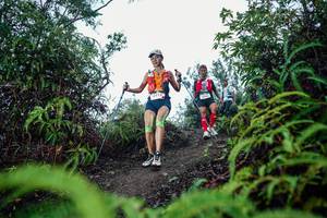 BIB: 
                            <button type="button" onclick="openModal(26324784)" class="btn btn-primary btn-sm float-right btn-popup" data-toggle="modal" data-target=".modal-high-quality">
                        <i class="fas fa-shopping-cart"></i> Add to Cart
                    </button>
                                            <button type="button" onclick="isThisMe(26324784, true)" class="btn btn-success btn-sm float-right btn-popup btn-isme hidden" data-toggle="tooltip" data-placement="bottom" title="นี่คือรูปของคุณใช่ไหม คลิกที่นี่เพื่อเอาเข้าอัลบั้ม">
                        <i class="fas fa-plus"></i> Add to album
                    </button>
                    <button type="button" onclick="isThisMe(26324784, false)" class="btn btn-warning btn-sm float-right btn-popup btn-isnotme hidden">
                        <i class="fas fa-ban"></i> Remove from album
                    </button>