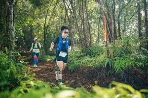 BIB: 
                            <button type="button" onclick="openModal(26417488)" class="btn btn-primary btn-sm float-right btn-popup" data-toggle="modal" data-target=".modal-high-quality">
                        <i class="fas fa-shopping-cart"></i> Add to Cart
                    </button>
                                            <button type="button" onclick="isThisMe(26417488, true)" class="btn btn-success btn-sm float-right btn-popup btn-isme hidden" data-toggle="tooltip" data-placement="bottom" title="นี่คือรูปของคุณใช่ไหม คลิกที่นี่เพื่อเอาเข้าอัลบั้ม">
                        <i class="fas fa-plus"></i> Add to album
                    </button>
                    <button type="button" onclick="isThisMe(26417488, false)" class="btn btn-warning btn-sm float-right btn-popup btn-isnotme hidden">
                        <i class="fas fa-ban"></i> Remove from album
                    </button>