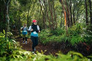 BIB: 
                            <button type="button" onclick="openModal(26425404)" class="btn btn-primary btn-sm float-right btn-popup" data-toggle="modal" data-target=".modal-high-quality">
                        <i class="fas fa-shopping-cart"></i> Add to Cart
                    </button>
                                            <button type="button" onclick="isThisMe(26425404, true)" class="btn btn-success btn-sm float-right btn-popup btn-isme hidden" data-toggle="tooltip" data-placement="bottom" title="นี่คือรูปของคุณใช่ไหม คลิกที่นี่เพื่อเอาเข้าอัลบั้ม">
                        <i class="fas fa-plus"></i> Add to album
                    </button>
                    <button type="button" onclick="isThisMe(26425404, false)" class="btn btn-warning btn-sm float-right btn-popup btn-isnotme hidden">
                        <i class="fas fa-ban"></i> Remove from album
                    </button>