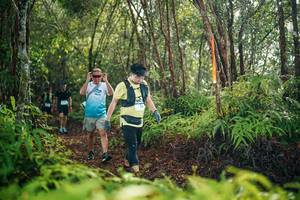 BIB: 
                            <button type="button" onclick="openModal(26416386)" class="btn btn-primary btn-sm float-right btn-popup" data-toggle="modal" data-target=".modal-high-quality">
                        <i class="fas fa-shopping-cart"></i> Add to Cart
                    </button>
                                            <button type="button" onclick="isThisMe(26416386, true)" class="btn btn-success btn-sm float-right btn-popup btn-isme hidden" data-toggle="tooltip" data-placement="bottom" title="นี่คือรูปของคุณใช่ไหม คลิกที่นี่เพื่อเอาเข้าอัลบั้ม">
                        <i class="fas fa-plus"></i> Add to album
                    </button>
                    <button type="button" onclick="isThisMe(26416386, false)" class="btn btn-warning btn-sm float-right btn-popup btn-isnotme hidden">
                        <i class="fas fa-ban"></i> Remove from album
                    </button>