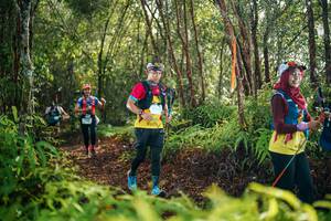 BIB: 
                            <button type="button" onclick="openModal(26419009)" class="btn btn-primary btn-sm float-right btn-popup" data-toggle="modal" data-target=".modal-high-quality">
                        <i class="fas fa-shopping-cart"></i> Add to Cart
                    </button>
                                            <button type="button" onclick="isThisMe(26419009, true)" class="btn btn-success btn-sm float-right btn-popup btn-isme hidden" data-toggle="tooltip" data-placement="bottom" title="นี่คือรูปของคุณใช่ไหม คลิกที่นี่เพื่อเอาเข้าอัลบั้ม">
                        <i class="fas fa-plus"></i> Add to album
                    </button>
                    <button type="button" onclick="isThisMe(26419009, false)" class="btn btn-warning btn-sm float-right btn-popup btn-isnotme hidden">
                        <i class="fas fa-ban"></i> Remove from album
                    </button>