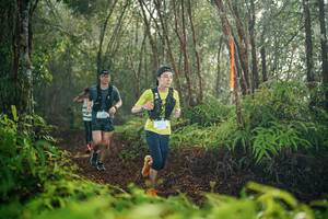 BIB: 
                            <button type="button" onclick="openModal(26413222)" class="btn btn-primary btn-sm float-right btn-popup" data-toggle="modal" data-target=".modal-high-quality">
                        <i class="fas fa-shopping-cart"></i> Add to Cart
                    </button>
                                            <button type="button" onclick="isThisMe(26413222, true)" class="btn btn-success btn-sm float-right btn-popup btn-isme hidden" data-toggle="tooltip" data-placement="bottom" title="นี่คือรูปของคุณใช่ไหม คลิกที่นี่เพื่อเอาเข้าอัลบั้ม">
                        <i class="fas fa-plus"></i> Add to album
                    </button>
                    <button type="button" onclick="isThisMe(26413222, false)" class="btn btn-warning btn-sm float-right btn-popup btn-isnotme hidden">
                        <i class="fas fa-ban"></i> Remove from album
                    </button>