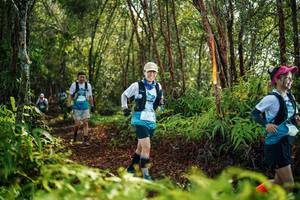 BIB: 
                            <button type="button" onclick="openModal(26426606)" class="btn btn-primary btn-sm float-right btn-popup" data-toggle="modal" data-target=".modal-high-quality">
                        <i class="fas fa-shopping-cart"></i> Add to Cart
                    </button>
                                            <button type="button" onclick="isThisMe(26426606, true)" class="btn btn-success btn-sm float-right btn-popup btn-isme hidden" data-toggle="tooltip" data-placement="bottom" title="นี่คือรูปของคุณใช่ไหม คลิกที่นี่เพื่อเอาเข้าอัลบั้ม">
                        <i class="fas fa-plus"></i> Add to album
                    </button>
                    <button type="button" onclick="isThisMe(26426606, false)" class="btn btn-warning btn-sm float-right btn-popup btn-isnotme hidden">
                        <i class="fas fa-ban"></i> Remove from album
                    </button>