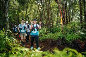 BIB: 
                            <button type="button" onclick="openModal(26426403)" class="btn btn-primary btn-sm float-right btn-popup" data-toggle="modal" data-target=".modal-high-quality">
                        <i class="fas fa-shopping-cart"></i> Add to Cart
                    </button>
                                            <button type="button" onclick="isThisMe(26426403, true)" class="btn btn-success btn-sm float-right btn-popup btn-isme hidden" data-toggle="tooltip" data-placement="bottom" title="นี่คือรูปของคุณใช่ไหม คลิกที่นี่เพื่อเอาเข้าอัลบั้ม">
                        <i class="fas fa-plus"></i> Add to album
                    </button>
                    <button type="button" onclick="isThisMe(26426403, false)" class="btn btn-warning btn-sm float-right btn-popup btn-isnotme hidden">
                        <i class="fas fa-ban"></i> Remove from album
                    </button>