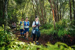 BIB: 
                            <button type="button" onclick="openModal(26424599)" class="btn btn-primary btn-sm float-right btn-popup" data-toggle="modal" data-target=".modal-high-quality">
                        <i class="fas fa-shopping-cart"></i> Add to Cart
                    </button>
                                            <button type="button" onclick="isThisMe(26424599, true)" class="btn btn-success btn-sm float-right btn-popup btn-isme hidden" data-toggle="tooltip" data-placement="bottom" title="นี่คือรูปของคุณใช่ไหม คลิกที่นี่เพื่อเอาเข้าอัลบั้ม">
                        <i class="fas fa-plus"></i> Add to album
                    </button>
                    <button type="button" onclick="isThisMe(26424599, false)" class="btn btn-warning btn-sm float-right btn-popup btn-isnotme hidden">
                        <i class="fas fa-ban"></i> Remove from album
                    </button>