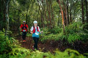 BIB: 
                            <button type="button" onclick="openModal(26427343)" class="btn btn-primary btn-sm float-right btn-popup" data-toggle="modal" data-target=".modal-high-quality">
                        <i class="fas fa-shopping-cart"></i> Add to Cart
                    </button>
                                            <button type="button" onclick="isThisMe(26427343, true)" class="btn btn-success btn-sm float-right btn-popup btn-isme hidden" data-toggle="tooltip" data-placement="bottom" title="นี่คือรูปของคุณใช่ไหม คลิกที่นี่เพื่อเอาเข้าอัลบั้ม">
                        <i class="fas fa-plus"></i> Add to album
                    </button>
                    <button type="button" onclick="isThisMe(26427343, false)" class="btn btn-warning btn-sm float-right btn-popup btn-isnotme hidden">
                        <i class="fas fa-ban"></i> Remove from album
                    </button>