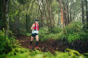 BIB: 
                            <button type="button" onclick="openModal(26413282)" class="btn btn-primary btn-sm float-right btn-popup" data-toggle="modal" data-target=".modal-high-quality">
                        <i class="fas fa-shopping-cart"></i> Add to Cart
                    </button>
                                            <button type="button" onclick="isThisMe(26413282, true)" class="btn btn-success btn-sm float-right btn-popup btn-isme hidden" data-toggle="tooltip" data-placement="bottom" title="นี่คือรูปของคุณใช่ไหม คลิกที่นี่เพื่อเอาเข้าอัลบั้ม">
                        <i class="fas fa-plus"></i> Add to album
                    </button>
                    <button type="button" onclick="isThisMe(26413282, false)" class="btn btn-warning btn-sm float-right btn-popup btn-isnotme hidden">
                        <i class="fas fa-ban"></i> Remove from album
                    </button>