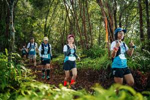 BIB: 
                            <button type="button" onclick="openModal(26426561)" class="btn btn-primary btn-sm float-right btn-popup" data-toggle="modal" data-target=".modal-high-quality">
                        <i class="fas fa-shopping-cart"></i> Add to Cart
                    </button>
                                            <button type="button" onclick="isThisMe(26426561, true)" class="btn btn-success btn-sm float-right btn-popup btn-isme hidden" data-toggle="tooltip" data-placement="bottom" title="นี่คือรูปของคุณใช่ไหม คลิกที่นี่เพื่อเอาเข้าอัลบั้ม">
                        <i class="fas fa-plus"></i> Add to album
                    </button>
                    <button type="button" onclick="isThisMe(26426561, false)" class="btn btn-warning btn-sm float-right btn-popup btn-isnotme hidden">
                        <i class="fas fa-ban"></i> Remove from album
                    </button>