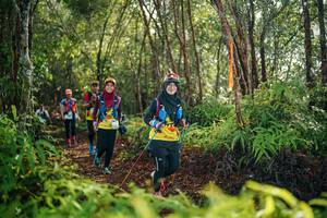 BIB: 
                            <button type="button" onclick="openModal(26418964)" class="btn btn-primary btn-sm float-right btn-popup" data-toggle="modal" data-target=".modal-high-quality">
                        <i class="fas fa-shopping-cart"></i> Add to Cart
                    </button>
                                            <button type="button" onclick="isThisMe(26418964, true)" class="btn btn-success btn-sm float-right btn-popup btn-isme hidden" data-toggle="tooltip" data-placement="bottom" title="นี่คือรูปของคุณใช่ไหม คลิกที่นี่เพื่อเอาเข้าอัลบั้ม">
                        <i class="fas fa-plus"></i> Add to album
                    </button>
                    <button type="button" onclick="isThisMe(26418964, false)" class="btn btn-warning btn-sm float-right btn-popup btn-isnotme hidden">
                        <i class="fas fa-ban"></i> Remove from album
                    </button>