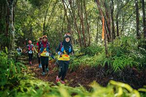 BIB: 
                            <button type="button" onclick="openModal(26418918)" class="btn btn-primary btn-sm float-right btn-popup" data-toggle="modal" data-target=".modal-high-quality">
                        <i class="fas fa-shopping-cart"></i> Add to Cart
                    </button>
                                            <button type="button" onclick="isThisMe(26418918, true)" class="btn btn-success btn-sm float-right btn-popup btn-isme hidden" data-toggle="tooltip" data-placement="bottom" title="นี่คือรูปของคุณใช่ไหม คลิกที่นี่เพื่อเอาเข้าอัลบั้ม">
                        <i class="fas fa-plus"></i> Add to album
                    </button>
                    <button type="button" onclick="isThisMe(26418918, false)" class="btn btn-warning btn-sm float-right btn-popup btn-isnotme hidden">
                        <i class="fas fa-ban"></i> Remove from album
                    </button>