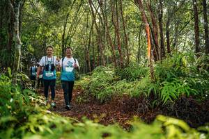 BIB: 
                            <button type="button" onclick="openModal(26422049)" class="btn btn-primary btn-sm float-right btn-popup" data-toggle="modal" data-target=".modal-high-quality">
                        <i class="fas fa-shopping-cart"></i> Add to Cart
                    </button>
                                            <button type="button" onclick="isThisMe(26422049, true)" class="btn btn-success btn-sm float-right btn-popup btn-isme hidden" data-toggle="tooltip" data-placement="bottom" title="นี่คือรูปของคุณใช่ไหม คลิกที่นี่เพื่อเอาเข้าอัลบั้ม">
                        <i class="fas fa-plus"></i> Add to album
                    </button>
                    <button type="button" onclick="isThisMe(26422049, false)" class="btn btn-warning btn-sm float-right btn-popup btn-isnotme hidden">
                        <i class="fas fa-ban"></i> Remove from album
                    </button>