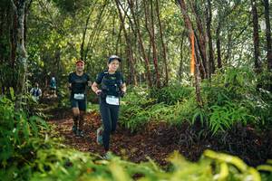 BIB: 
                            <button type="button" onclick="openModal(26419214)" class="btn btn-primary btn-sm float-right btn-popup" data-toggle="modal" data-target=".modal-high-quality">
                        <i class="fas fa-shopping-cart"></i> Add to Cart
                    </button>
                                            <button type="button" onclick="isThisMe(26419214, true)" class="btn btn-success btn-sm float-right btn-popup btn-isme hidden" data-toggle="tooltip" data-placement="bottom" title="นี่คือรูปของคุณใช่ไหม คลิกที่นี่เพื่อเอาเข้าอัลบั้ม">
                        <i class="fas fa-plus"></i> Add to album
                    </button>
                    <button type="button" onclick="isThisMe(26419214, false)" class="btn btn-warning btn-sm float-right btn-popup btn-isnotme hidden">
                        <i class="fas fa-ban"></i> Remove from album
                    </button>