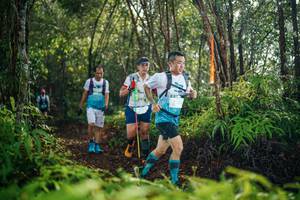 BIB: 
                            <button type="button" onclick="openModal(26415164)" class="btn btn-primary btn-sm float-right btn-popup" data-toggle="modal" data-target=".modal-high-quality">
                        <i class="fas fa-shopping-cart"></i> Add to Cart
                    </button>
                                            <button type="button" onclick="isThisMe(26415164, true)" class="btn btn-success btn-sm float-right btn-popup btn-isme hidden" data-toggle="tooltip" data-placement="bottom" title="นี่คือรูปของคุณใช่ไหม คลิกที่นี่เพื่อเอาเข้าอัลบั้ม">
                        <i class="fas fa-plus"></i> Add to album
                    </button>
                    <button type="button" onclick="isThisMe(26415164, false)" class="btn btn-warning btn-sm float-right btn-popup btn-isnotme hidden">
                        <i class="fas fa-ban"></i> Remove from album
                    </button>