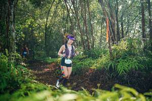 BIB: 
                            <button type="button" onclick="openModal(26414561)" class="btn btn-primary btn-sm float-right btn-popup" data-toggle="modal" data-target=".modal-high-quality">
                        <i class="fas fa-shopping-cart"></i> Add to Cart
                    </button>
                                            <button type="button" onclick="isThisMe(26414561, true)" class="btn btn-success btn-sm float-right btn-popup btn-isme hidden" data-toggle="tooltip" data-placement="bottom" title="นี่คือรูปของคุณใช่ไหม คลิกที่นี่เพื่อเอาเข้าอัลบั้ม">
                        <i class="fas fa-plus"></i> Add to album
                    </button>
                    <button type="button" onclick="isThisMe(26414561, false)" class="btn btn-warning btn-sm float-right btn-popup btn-isnotme hidden">
                        <i class="fas fa-ban"></i> Remove from album
                    </button>