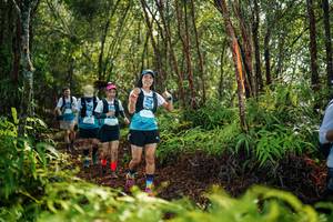 BIB: 
                            <button type="button" onclick="openModal(26426531)" class="btn btn-primary btn-sm float-right btn-popup" data-toggle="modal" data-target=".modal-high-quality">
                        <i class="fas fa-shopping-cart"></i> Add to Cart
                    </button>
                                            <button type="button" onclick="isThisMe(26426531, true)" class="btn btn-success btn-sm float-right btn-popup btn-isme hidden" data-toggle="tooltip" data-placement="bottom" title="นี่คือรูปของคุณใช่ไหม คลิกที่นี่เพื่อเอาเข้าอัลบั้ม">
                        <i class="fas fa-plus"></i> Add to album
                    </button>
                    <button type="button" onclick="isThisMe(26426531, false)" class="btn btn-warning btn-sm float-right btn-popup btn-isnotme hidden">
                        <i class="fas fa-ban"></i> Remove from album
                    </button>