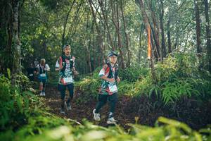 BIB: 
                            <button type="button" onclick="openModal(26414846)" class="btn btn-primary btn-sm float-right btn-popup" data-toggle="modal" data-target=".modal-high-quality">
                        <i class="fas fa-shopping-cart"></i> Add to Cart
                    </button>
                                            <button type="button" onclick="isThisMe(26414846, true)" class="btn btn-success btn-sm float-right btn-popup btn-isme hidden" data-toggle="tooltip" data-placement="bottom" title="นี่คือรูปของคุณใช่ไหม คลิกที่นี่เพื่อเอาเข้าอัลบั้ม">
                        <i class="fas fa-plus"></i> Add to album
                    </button>
                    <button type="button" onclick="isThisMe(26414846, false)" class="btn btn-warning btn-sm float-right btn-popup btn-isnotme hidden">
                        <i class="fas fa-ban"></i> Remove from album
                    </button>