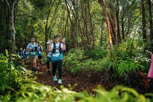 BIB: 
                            <button type="button" onclick="openModal(26426374)" class="btn btn-primary btn-sm float-right btn-popup" data-toggle="modal" data-target=".modal-high-quality">
                        <i class="fas fa-shopping-cart"></i> Add to Cart
                    </button>
                                            <button type="button" onclick="isThisMe(26426374, true)" class="btn btn-success btn-sm float-right btn-popup btn-isme hidden" data-toggle="tooltip" data-placement="bottom" title="นี่คือรูปของคุณใช่ไหม คลิกที่นี่เพื่อเอาเข้าอัลบั้ม">
                        <i class="fas fa-plus"></i> Add to album
                    </button>
                    <button type="button" onclick="isThisMe(26426374, false)" class="btn btn-warning btn-sm float-right btn-popup btn-isnotme hidden">
                        <i class="fas fa-ban"></i> Remove from album
                    </button>