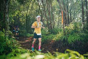 BIB: 
                            <button type="button" onclick="openModal(26414536)" class="btn btn-primary btn-sm float-right btn-popup" data-toggle="modal" data-target=".modal-high-quality">
                        <i class="fas fa-shopping-cart"></i> Add to Cart
                    </button>
                                            <button type="button" onclick="isThisMe(26414536, true)" class="btn btn-success btn-sm float-right btn-popup btn-isme hidden" data-toggle="tooltip" data-placement="bottom" title="นี่คือรูปของคุณใช่ไหม คลิกที่นี่เพื่อเอาเข้าอัลบั้ม">
                        <i class="fas fa-plus"></i> Add to album
                    </button>
                    <button type="button" onclick="isThisMe(26414536, false)" class="btn btn-warning btn-sm float-right btn-popup btn-isnotme hidden">
                        <i class="fas fa-ban"></i> Remove from album
                    </button>