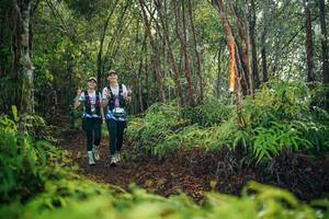 BIB: 
                            <button type="button" onclick="openModal(26415695)" class="btn btn-primary btn-sm float-right btn-popup" data-toggle="modal" data-target=".modal-high-quality">
                        <i class="fas fa-shopping-cart"></i> Add to Cart
                    </button>
                                            <button type="button" onclick="isThisMe(26415695, true)" class="btn btn-success btn-sm float-right btn-popup btn-isme hidden" data-toggle="tooltip" data-placement="bottom" title="นี่คือรูปของคุณใช่ไหม คลิกที่นี่เพื่อเอาเข้าอัลบั้ม">
                        <i class="fas fa-plus"></i> Add to album
                    </button>
                    <button type="button" onclick="isThisMe(26415695, false)" class="btn btn-warning btn-sm float-right btn-popup btn-isnotme hidden">
                        <i class="fas fa-ban"></i> Remove from album
                    </button>