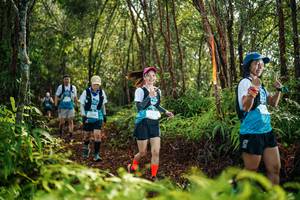 BIB: 
                            <button type="button" onclick="openModal(26426559)" class="btn btn-primary btn-sm float-right btn-popup" data-toggle="modal" data-target=".modal-high-quality">
                        <i class="fas fa-shopping-cart"></i> Add to Cart
                    </button>
                                            <button type="button" onclick="isThisMe(26426559, true)" class="btn btn-success btn-sm float-right btn-popup btn-isme hidden" data-toggle="tooltip" data-placement="bottom" title="นี่คือรูปของคุณใช่ไหม คลิกที่นี่เพื่อเอาเข้าอัลบั้ม">
                        <i class="fas fa-plus"></i> Add to album
                    </button>
                    <button type="button" onclick="isThisMe(26426559, false)" class="btn btn-warning btn-sm float-right btn-popup btn-isnotme hidden">
                        <i class="fas fa-ban"></i> Remove from album
                    </button>