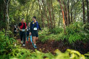 BIB: 
                            <button type="button" onclick="openModal(26420074)" class="btn btn-primary btn-sm float-right btn-popup" data-toggle="modal" data-target=".modal-high-quality">
                        <i class="fas fa-shopping-cart"></i> Add to Cart
                    </button>
                                            <button type="button" onclick="isThisMe(26420074, true)" class="btn btn-success btn-sm float-right btn-popup btn-isme hidden" data-toggle="tooltip" data-placement="bottom" title="นี่คือรูปของคุณใช่ไหม คลิกที่นี่เพื่อเอาเข้าอัลบั้ม">
                        <i class="fas fa-plus"></i> Add to album
                    </button>
                    <button type="button" onclick="isThisMe(26420074, false)" class="btn btn-warning btn-sm float-right btn-popup btn-isnotme hidden">
                        <i class="fas fa-ban"></i> Remove from album
                    </button>