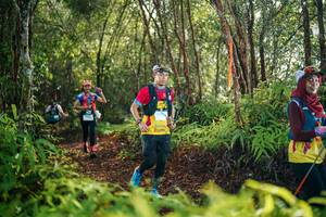 BIB: 
                            <button type="button" onclick="openModal(26419024)" class="btn btn-primary btn-sm float-right btn-popup" data-toggle="modal" data-target=".modal-high-quality">
                        <i class="fas fa-shopping-cart"></i> Add to Cart
                    </button>
                                            <button type="button" onclick="isThisMe(26419024, true)" class="btn btn-success btn-sm float-right btn-popup btn-isme hidden" data-toggle="tooltip" data-placement="bottom" title="นี่คือรูปของคุณใช่ไหม คลิกที่นี่เพื่อเอาเข้าอัลบั้ม">
                        <i class="fas fa-plus"></i> Add to album
                    </button>
                    <button type="button" onclick="isThisMe(26419024, false)" class="btn btn-warning btn-sm float-right btn-popup btn-isnotme hidden">
                        <i class="fas fa-ban"></i> Remove from album
                    </button>