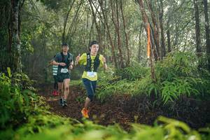 BIB: 
                            <button type="button" onclick="openModal(26413219)" class="btn btn-primary btn-sm float-right btn-popup" data-toggle="modal" data-target=".modal-high-quality">
                        <i class="fas fa-shopping-cart"></i> Add to Cart
                    </button>
                                            <button type="button" onclick="isThisMe(26413219, true)" class="btn btn-success btn-sm float-right btn-popup btn-isme hidden" data-toggle="tooltip" data-placement="bottom" title="นี่คือรูปของคุณใช่ไหม คลิกที่นี่เพื่อเอาเข้าอัลบั้ม">
                        <i class="fas fa-plus"></i> Add to album
                    </button>
                    <button type="button" onclick="isThisMe(26413219, false)" class="btn btn-warning btn-sm float-right btn-popup btn-isnotme hidden">
                        <i class="fas fa-ban"></i> Remove from album
                    </button>