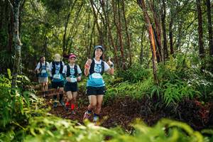 BIB: 
                            <button type="button" onclick="openModal(26426530)" class="btn btn-primary btn-sm float-right btn-popup" data-toggle="modal" data-target=".modal-high-quality">
                        <i class="fas fa-shopping-cart"></i> Add to Cart
                    </button>
                                            <button type="button" onclick="isThisMe(26426530, true)" class="btn btn-success btn-sm float-right btn-popup btn-isme hidden" data-toggle="tooltip" data-placement="bottom" title="นี่คือรูปของคุณใช่ไหม คลิกที่นี่เพื่อเอาเข้าอัลบั้ม">
                        <i class="fas fa-plus"></i> Add to album
                    </button>
                    <button type="button" onclick="isThisMe(26426530, false)" class="btn btn-warning btn-sm float-right btn-popup btn-isnotme hidden">
                        <i class="fas fa-ban"></i> Remove from album
                    </button>