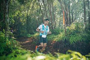 BIB: 
                            <button type="button" onclick="openModal(26414396)" class="btn btn-primary btn-sm float-right btn-popup" data-toggle="modal" data-target=".modal-high-quality">
                        <i class="fas fa-shopping-cart"></i> Add to Cart
                    </button>
                                            <button type="button" onclick="isThisMe(26414396, true)" class="btn btn-success btn-sm float-right btn-popup btn-isme hidden" data-toggle="tooltip" data-placement="bottom" title="นี่คือรูปของคุณใช่ไหม คลิกที่นี่เพื่อเอาเข้าอัลบั้ม">
                        <i class="fas fa-plus"></i> Add to album
                    </button>
                    <button type="button" onclick="isThisMe(26414396, false)" class="btn btn-warning btn-sm float-right btn-popup btn-isnotme hidden">
                        <i class="fas fa-ban"></i> Remove from album
                    </button>