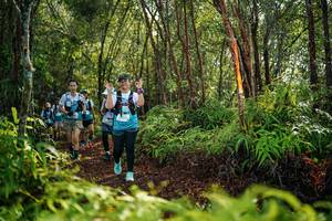 BIB: 
                            <button type="button" onclick="openModal(26426393)" class="btn btn-primary btn-sm float-right btn-popup" data-toggle="modal" data-target=".modal-high-quality">
                        <i class="fas fa-shopping-cart"></i> Add to Cart
                    </button>
                                            <button type="button" onclick="isThisMe(26426393, true)" class="btn btn-success btn-sm float-right btn-popup btn-isme hidden" data-toggle="tooltip" data-placement="bottom" title="นี่คือรูปของคุณใช่ไหม คลิกที่นี่เพื่อเอาเข้าอัลบั้ม">
                        <i class="fas fa-plus"></i> Add to album
                    </button>
                    <button type="button" onclick="isThisMe(26426393, false)" class="btn btn-warning btn-sm float-right btn-popup btn-isnotme hidden">
                        <i class="fas fa-ban"></i> Remove from album
                    </button>