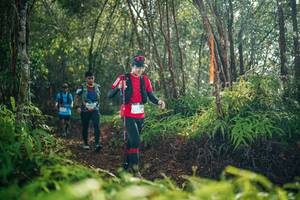 BIB: 
                            <button type="button" onclick="openModal(26414989)" class="btn btn-primary btn-sm float-right btn-popup" data-toggle="modal" data-target=".modal-high-quality">
                        <i class="fas fa-shopping-cart"></i> Add to Cart
                    </button>
                                            <button type="button" onclick="isThisMe(26414989, true)" class="btn btn-success btn-sm float-right btn-popup btn-isme hidden" data-toggle="tooltip" data-placement="bottom" title="นี่คือรูปของคุณใช่ไหม คลิกที่นี่เพื่อเอาเข้าอัลบั้ม">
                        <i class="fas fa-plus"></i> Add to album
                    </button>
                    <button type="button" onclick="isThisMe(26414989, false)" class="btn btn-warning btn-sm float-right btn-popup btn-isnotme hidden">
                        <i class="fas fa-ban"></i> Remove from album
                    </button>