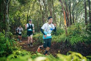 BIB: 
                            <button type="button" onclick="openModal(26417127)" class="btn btn-primary btn-sm float-right btn-popup" data-toggle="modal" data-target=".modal-high-quality">
                        <i class="fas fa-shopping-cart"></i> Add to Cart
                    </button>
                                            <button type="button" onclick="isThisMe(26417127, true)" class="btn btn-success btn-sm float-right btn-popup btn-isme hidden" data-toggle="tooltip" data-placement="bottom" title="นี่คือรูปของคุณใช่ไหม คลิกที่นี่เพื่อเอาเข้าอัลบั้ม">
                        <i class="fas fa-plus"></i> Add to album
                    </button>
                    <button type="button" onclick="isThisMe(26417127, false)" class="btn btn-warning btn-sm float-right btn-popup btn-isnotme hidden">
                        <i class="fas fa-ban"></i> Remove from album
                    </button>