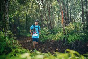 BIB: 
                            <button type="button" onclick="openModal(26415054)" class="btn btn-primary btn-sm float-right btn-popup" data-toggle="modal" data-target=".modal-high-quality">
                        <i class="fas fa-shopping-cart"></i> Add to Cart
                    </button>
                                            <button type="button" onclick="isThisMe(26415054, true)" class="btn btn-success btn-sm float-right btn-popup btn-isme hidden" data-toggle="tooltip" data-placement="bottom" title="นี่คือรูปของคุณใช่ไหม คลิกที่นี่เพื่อเอาเข้าอัลบั้ม">
                        <i class="fas fa-plus"></i> Add to album
                    </button>
                    <button type="button" onclick="isThisMe(26415054, false)" class="btn btn-warning btn-sm float-right btn-popup btn-isnotme hidden">
                        <i class="fas fa-ban"></i> Remove from album
                    </button>