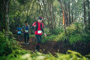 BIB: 
                            <button type="button" onclick="openModal(26414983)" class="btn btn-primary btn-sm float-right btn-popup" data-toggle="modal" data-target=".modal-high-quality">
                        <i class="fas fa-shopping-cart"></i> Add to Cart
                    </button>
                                            <button type="button" onclick="isThisMe(26414983, true)" class="btn btn-success btn-sm float-right btn-popup btn-isme hidden" data-toggle="tooltip" data-placement="bottom" title="นี่คือรูปของคุณใช่ไหม คลิกที่นี่เพื่อเอาเข้าอัลบั้ม">
                        <i class="fas fa-plus"></i> Add to album
                    </button>
                    <button type="button" onclick="isThisMe(26414983, false)" class="btn btn-warning btn-sm float-right btn-popup btn-isnotme hidden">
                        <i class="fas fa-ban"></i> Remove from album
                    </button>