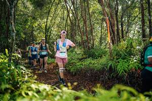 BIB: 
                            <button type="button" onclick="openModal(26424481)" class="btn btn-primary btn-sm float-right btn-popup" data-toggle="modal" data-target=".modal-high-quality">
                        <i class="fas fa-shopping-cart"></i> Add to Cart
                    </button>
                                            <button type="button" onclick="isThisMe(26424481, true)" class="btn btn-success btn-sm float-right btn-popup btn-isme hidden" data-toggle="tooltip" data-placement="bottom" title="นี่คือรูปของคุณใช่ไหม คลิกที่นี่เพื่อเอาเข้าอัลบั้ม">
                        <i class="fas fa-plus"></i> Add to album
                    </button>
                    <button type="button" onclick="isThisMe(26424481, false)" class="btn btn-warning btn-sm float-right btn-popup btn-isnotme hidden">
                        <i class="fas fa-ban"></i> Remove from album
                    </button>