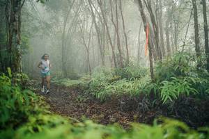 BIB: 
                            <button type="button" onclick="openModal(26412823)" class="btn btn-primary btn-sm float-right btn-popup" data-toggle="modal" data-target=".modal-high-quality">
                        <i class="fas fa-shopping-cart"></i> Add to Cart
                    </button>
                                            <button type="button" onclick="isThisMe(26412823, true)" class="btn btn-success btn-sm float-right btn-popup btn-isme hidden" data-toggle="tooltip" data-placement="bottom" title="นี่คือรูปของคุณใช่ไหม คลิกที่นี่เพื่อเอาเข้าอัลบั้ม">
                        <i class="fas fa-plus"></i> Add to album
                    </button>
                    <button type="button" onclick="isThisMe(26412823, false)" class="btn btn-warning btn-sm float-right btn-popup btn-isnotme hidden">
                        <i class="fas fa-ban"></i> Remove from album
                    </button>