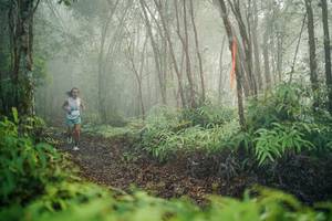 BIB: 
                            <button type="button" onclick="openModal(26412826)" class="btn btn-primary btn-sm float-right btn-popup" data-toggle="modal" data-target=".modal-high-quality">
                        <i class="fas fa-shopping-cart"></i> Add to Cart
                    </button>
                                            <button type="button" onclick="isThisMe(26412826, true)" class="btn btn-success btn-sm float-right btn-popup btn-isme hidden" data-toggle="tooltip" data-placement="bottom" title="นี่คือรูปของคุณใช่ไหม คลิกที่นี่เพื่อเอาเข้าอัลบั้ม">
                        <i class="fas fa-plus"></i> Add to album
                    </button>
                    <button type="button" onclick="isThisMe(26412826, false)" class="btn btn-warning btn-sm float-right btn-popup btn-isnotme hidden">
                        <i class="fas fa-ban"></i> Remove from album
                    </button>