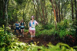 BIB: 
                            <button type="button" onclick="openModal(26424486)" class="btn btn-primary btn-sm float-right btn-popup" data-toggle="modal" data-target=".modal-high-quality">
                        <i class="fas fa-shopping-cart"></i> Add to Cart
                    </button>
                                            <button type="button" onclick="isThisMe(26424486, true)" class="btn btn-success btn-sm float-right btn-popup btn-isme hidden" data-toggle="tooltip" data-placement="bottom" title="นี่คือรูปของคุณใช่ไหม คลิกที่นี่เพื่อเอาเข้าอัลบั้ม">
                        <i class="fas fa-plus"></i> Add to album
                    </button>
                    <button type="button" onclick="isThisMe(26424486, false)" class="btn btn-warning btn-sm float-right btn-popup btn-isnotme hidden">
                        <i class="fas fa-ban"></i> Remove from album
                    </button>