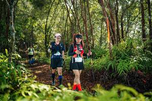 BIB: 
                            <button type="button" onclick="openModal(26424281)" class="btn btn-primary btn-sm float-right btn-popup" data-toggle="modal" data-target=".modal-high-quality">
                        <i class="fas fa-shopping-cart"></i> Add to Cart
                    </button>
                                            <button type="button" onclick="isThisMe(26424281, true)" class="btn btn-success btn-sm float-right btn-popup btn-isme hidden" data-toggle="tooltip" data-placement="bottom" title="นี่คือรูปของคุณใช่ไหม คลิกที่นี่เพื่อเอาเข้าอัลบั้ม">
                        <i class="fas fa-plus"></i> Add to album
                    </button>
                    <button type="button" onclick="isThisMe(26424281, false)" class="btn btn-warning btn-sm float-right btn-popup btn-isnotme hidden">
                        <i class="fas fa-ban"></i> Remove from album
                    </button>