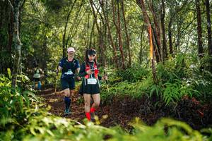 BIB: 
                            <button type="button" onclick="openModal(26424258)" class="btn btn-primary btn-sm float-right btn-popup" data-toggle="modal" data-target=".modal-high-quality">
                        <i class="fas fa-shopping-cart"></i> Add to Cart
                    </button>
                                            <button type="button" onclick="isThisMe(26424258, true)" class="btn btn-success btn-sm float-right btn-popup btn-isme hidden" data-toggle="tooltip" data-placement="bottom" title="นี่คือรูปของคุณใช่ไหม คลิกที่นี่เพื่อเอาเข้าอัลบั้ม">
                        <i class="fas fa-plus"></i> Add to album
                    </button>
                    <button type="button" onclick="isThisMe(26424258, false)" class="btn btn-warning btn-sm float-right btn-popup btn-isnotme hidden">
                        <i class="fas fa-ban"></i> Remove from album
                    </button>