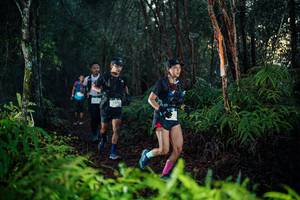 BIB: 
                            <button type="button" onclick="openModal(26439100)" class="btn btn-primary btn-sm float-right btn-popup" data-toggle="modal" data-target=".modal-high-quality">
                        <i class="fas fa-shopping-cart"></i> Add to Cart
                    </button>
                                            <button type="button" onclick="isThisMe(26439100, true)" class="btn btn-success btn-sm float-right btn-popup btn-isme hidden" data-toggle="tooltip" data-placement="bottom" title="นี่คือรูปของคุณใช่ไหม คลิกที่นี่เพื่อเอาเข้าอัลบั้ม">
                        <i class="fas fa-plus"></i> Add to album
                    </button>
                    <button type="button" onclick="isThisMe(26439100, false)" class="btn btn-warning btn-sm float-right btn-popup btn-isnotme hidden">
                        <i class="fas fa-ban"></i> Remove from album
                    </button>