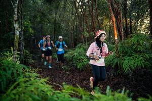 BIB: 
                            <button type="button" onclick="openModal(26441387)" class="btn btn-primary btn-sm float-right btn-popup" data-toggle="modal" data-target=".modal-high-quality">
                        <i class="fas fa-shopping-cart"></i> Add to Cart
                    </button>
                                            <button type="button" onclick="isThisMe(26441387, true)" class="btn btn-success btn-sm float-right btn-popup btn-isme hidden" data-toggle="tooltip" data-placement="bottom" title="นี่คือรูปของคุณใช่ไหม คลิกที่นี่เพื่อเอาเข้าอัลบั้ม">
                        <i class="fas fa-plus"></i> Add to album
                    </button>
                    <button type="button" onclick="isThisMe(26441387, false)" class="btn btn-warning btn-sm float-right btn-popup btn-isnotme hidden">
                        <i class="fas fa-ban"></i> Remove from album
                    </button>