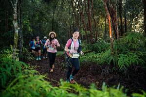 BIB: 
                            <button type="button" onclick="openModal(26441364)" class="btn btn-primary btn-sm float-right btn-popup" data-toggle="modal" data-target=".modal-high-quality">
                        <i class="fas fa-shopping-cart"></i> Add to Cart
                    </button>
                                            <button type="button" onclick="isThisMe(26441364, true)" class="btn btn-success btn-sm float-right btn-popup btn-isme hidden" data-toggle="tooltip" data-placement="bottom" title="นี่คือรูปของคุณใช่ไหม คลิกที่นี่เพื่อเอาเข้าอัลบั้ม">
                        <i class="fas fa-plus"></i> Add to album
                    </button>
                    <button type="button" onclick="isThisMe(26441364, false)" class="btn btn-warning btn-sm float-right btn-popup btn-isnotme hidden">
                        <i class="fas fa-ban"></i> Remove from album
                    </button>